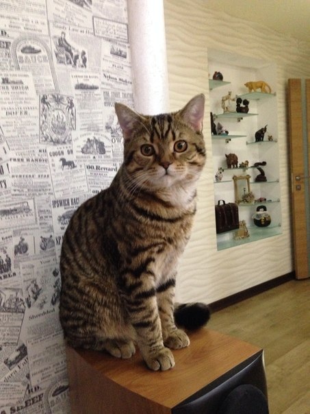 Мой красавчик любимый!!!