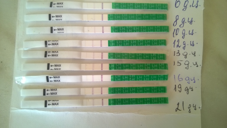 Признаки беременности тест отрицательный задержка. Задержка месячных тест отрицательный. Задержка месячных и температура 37.2 тест отрицательный. Задержка месячных температура 37 тест отрицательный. Задержка месячных на 37 дней тест отрицательный.