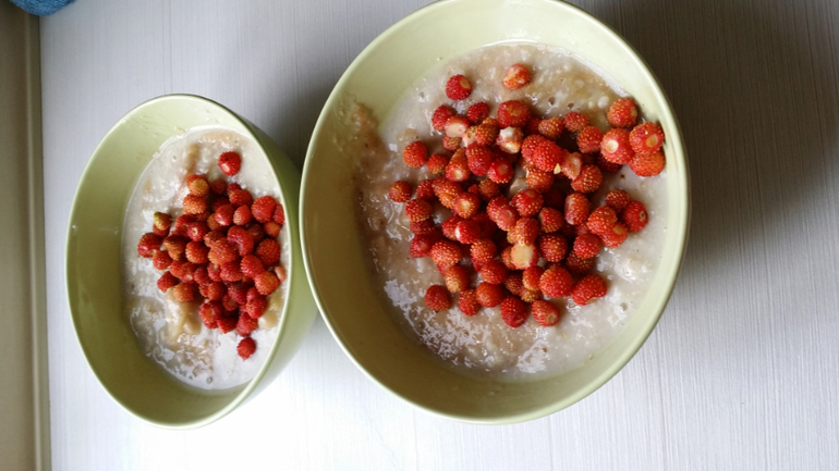 Почти месяц на даче..