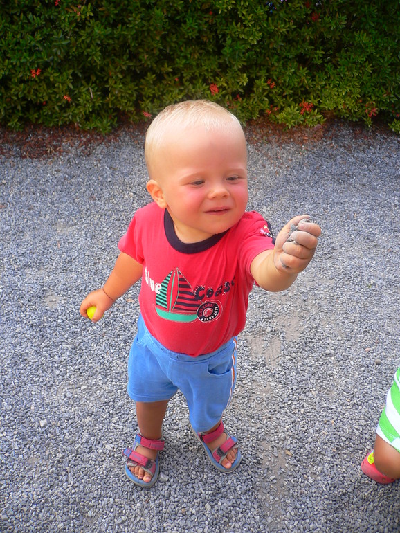 Отзыв о Chollada place, Маэнам, Самуи 4 дек 2013 - 12 фев 2014