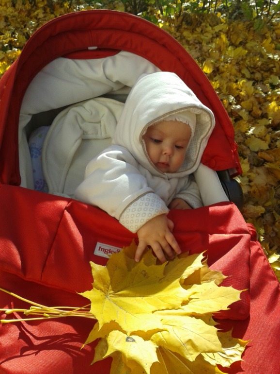 растем: 7 месяцев