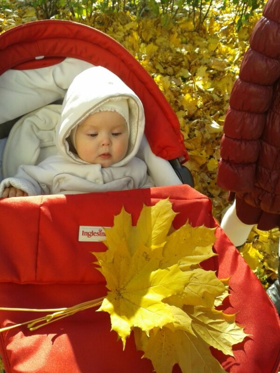 растем: 7 месяцев