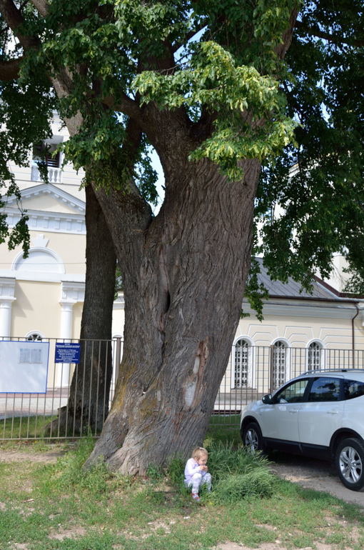 усадьба Истомино