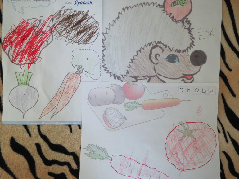 ТН "Как растут овощи" Отчет день 4