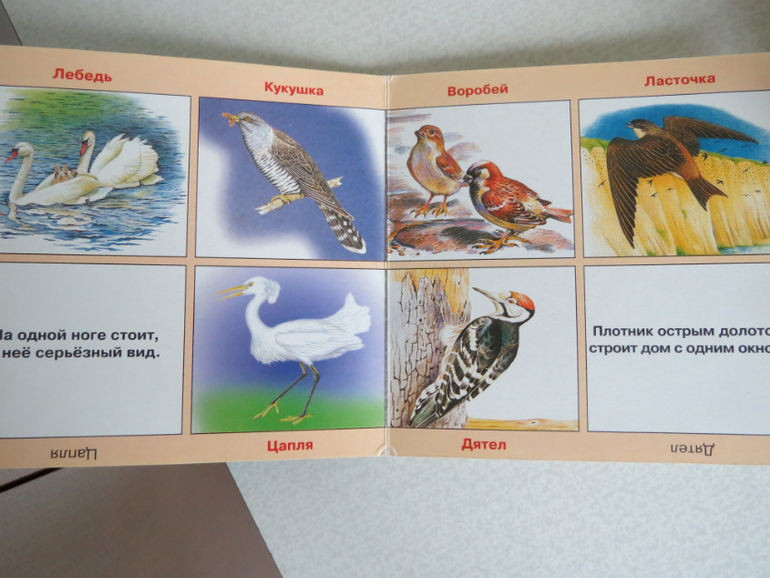 ТН "Как растут овощи" Отчет день 4