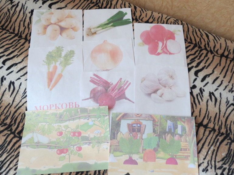 ТН "Как растут овощи" Отчет день 3