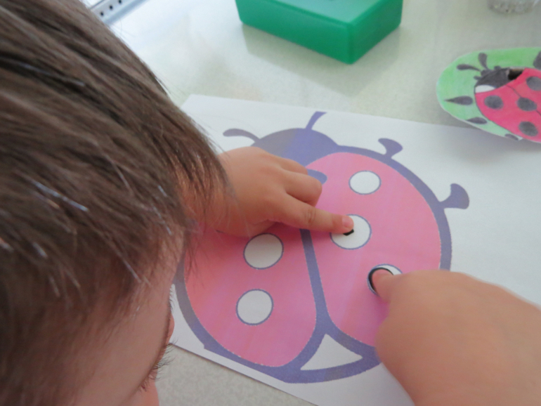 ТН "Как растут овощи" Отчет день 4