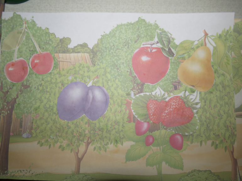 ТН "Как растут овощи" Отчет день 3