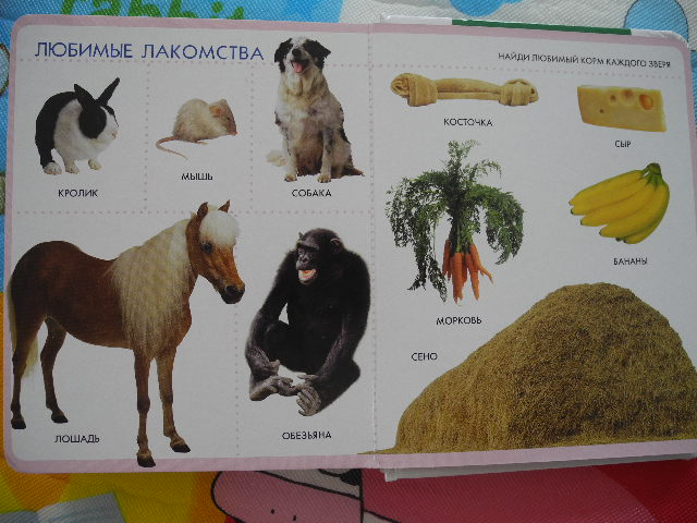 Наш дневник читателя 1 год и 10 месяцев. Часть 1.