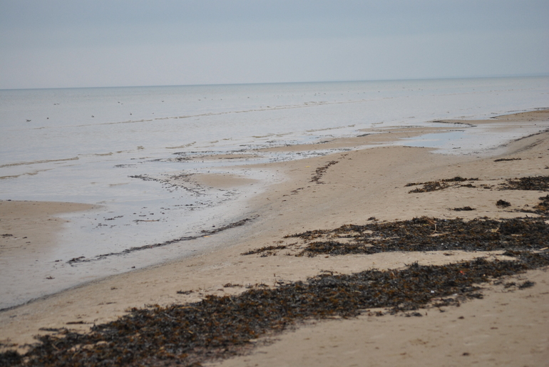 Новый 2014 Год в Латвии (Рига, Юрмала)