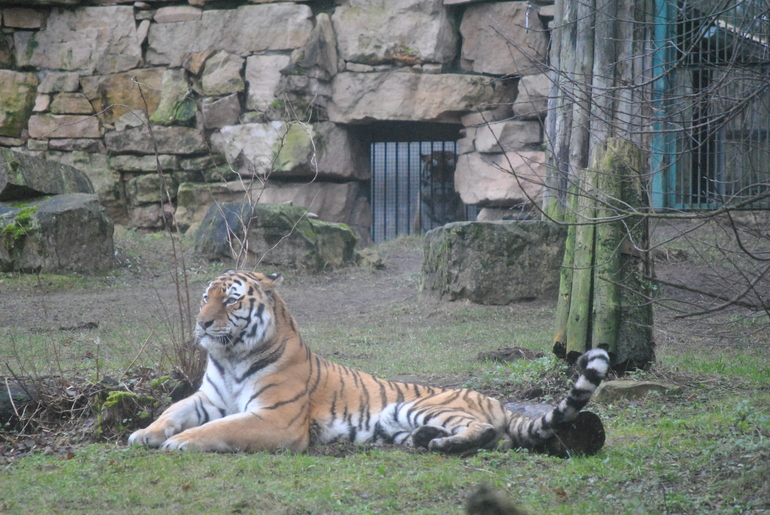 Новый 2014 Год в Латвии (Рига, Юрмала)