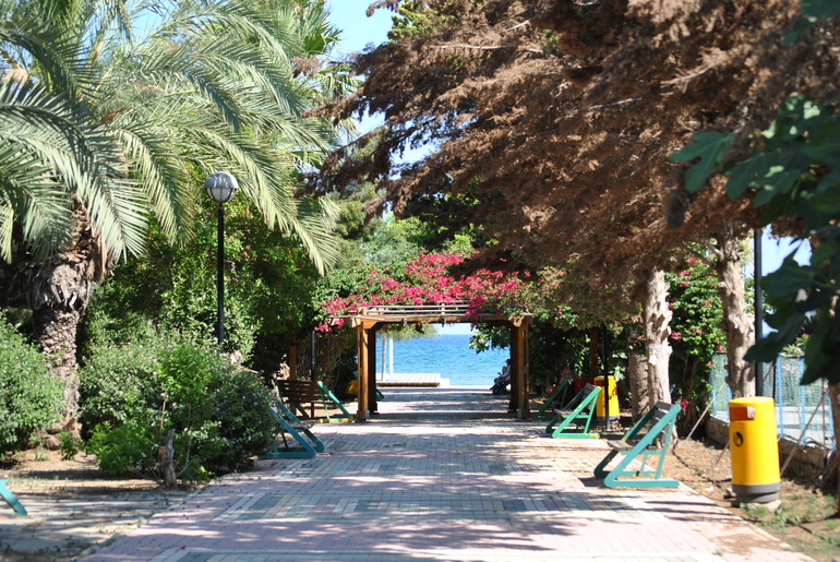 Кипр. июнь 2013.