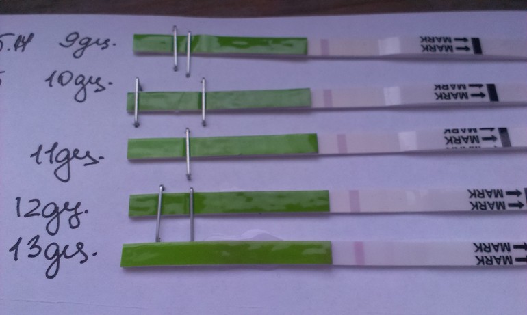 В ожидание О... и электронный тест :)