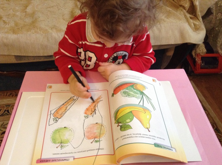 Овощи. Фрукты. Ягоды.