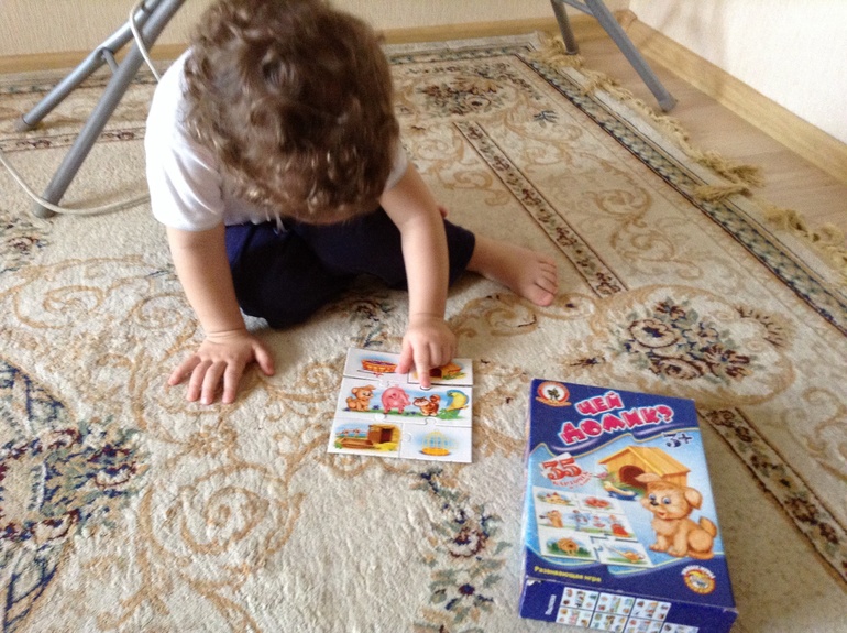 Домашние животные