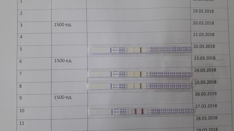 Протокол эко по дням схема с препаратами короткий