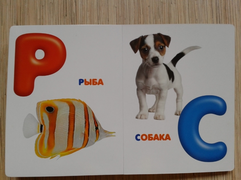 Живой алфавит с крупными буквами