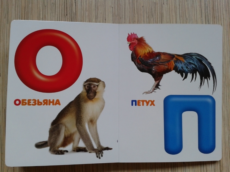 Живой алфавит с крупными буквами