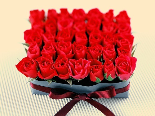 0b15fec4ebdafb8421ebf47f8a185640.jpg