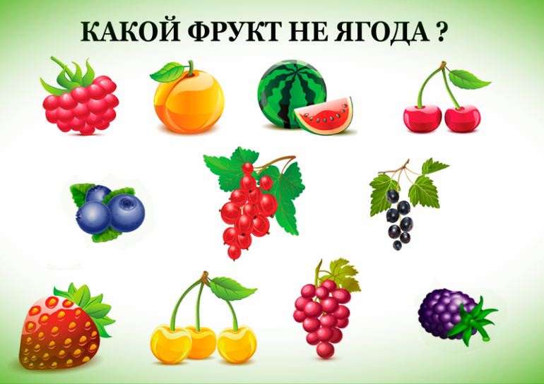 Картинки по теме ягоды для дошкольников