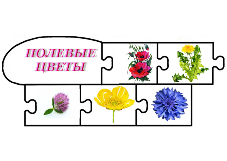 Головоломки растения. Пазлы цветы для детей. Цветы пазлы для малышей. Цветы пазлы для дошкольников. Пазл из цветов для детей