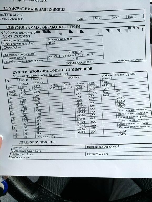 Заявление на утилизацию эмбрионов образец