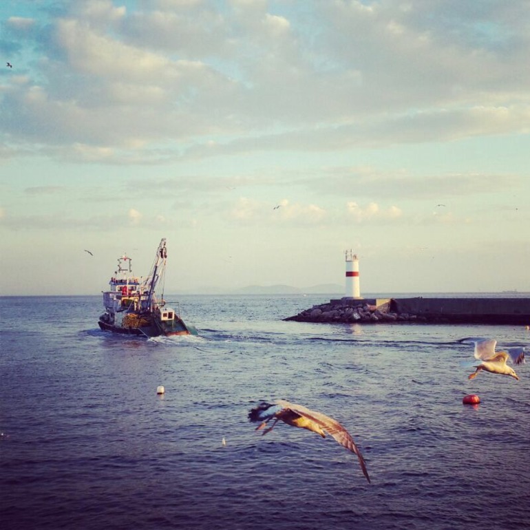 Несколько минут, взгляд