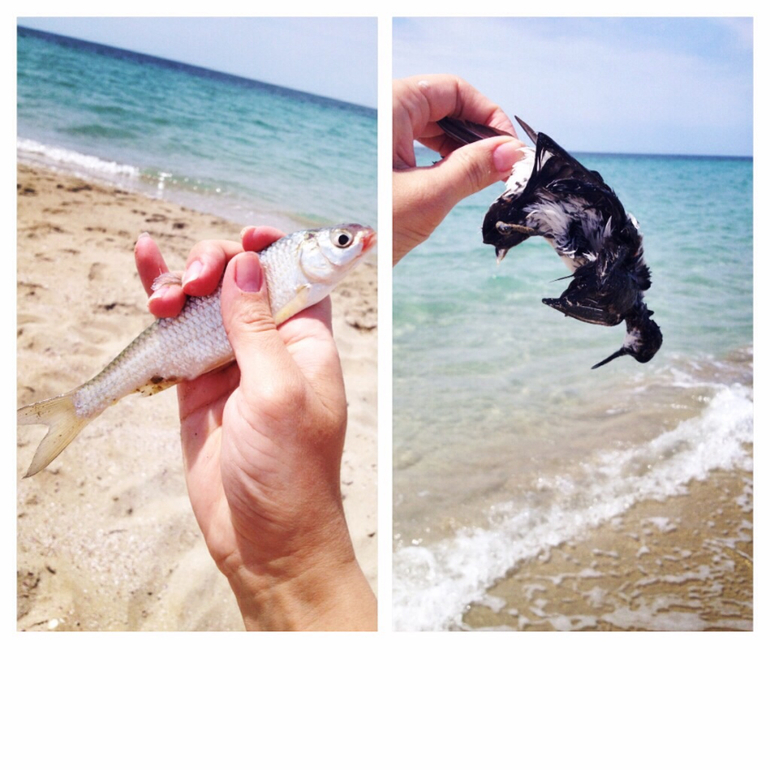 Мооре море...