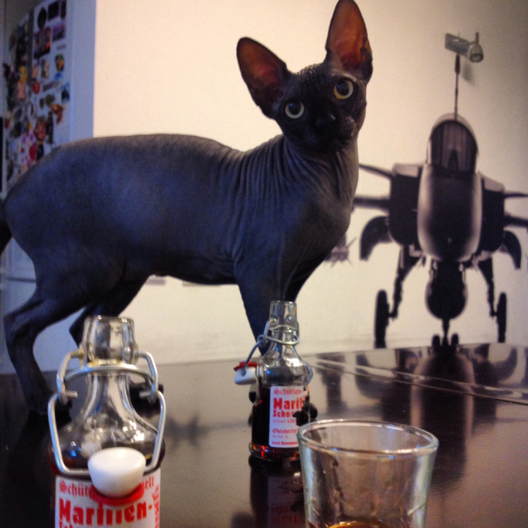 Пока Муж в командировке....