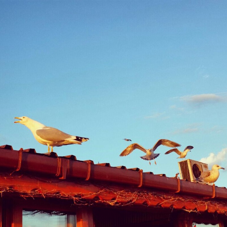 Несколько минут, взгляд