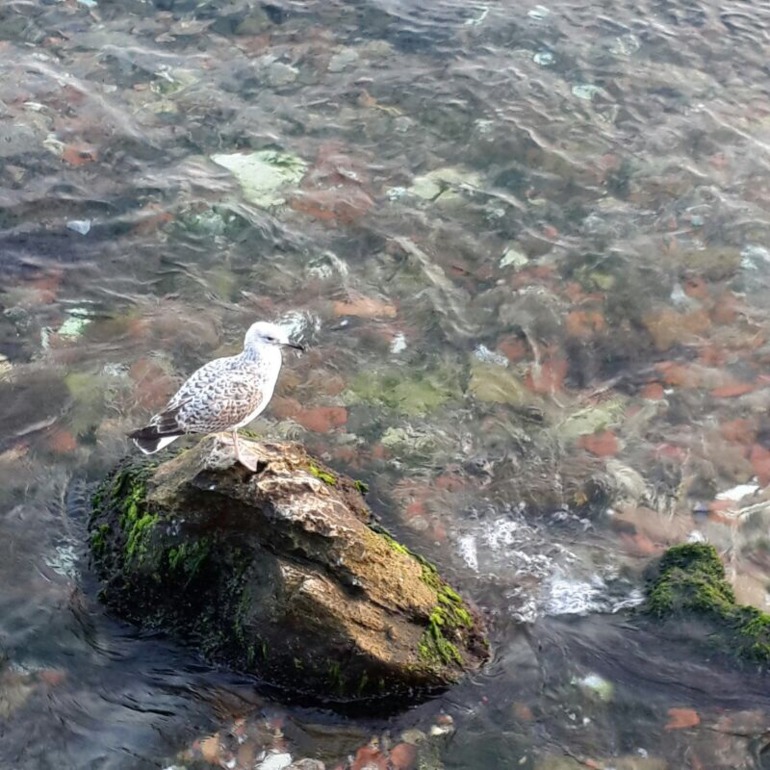 Несколько минут, взгляд