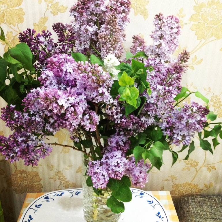 Моя весна...