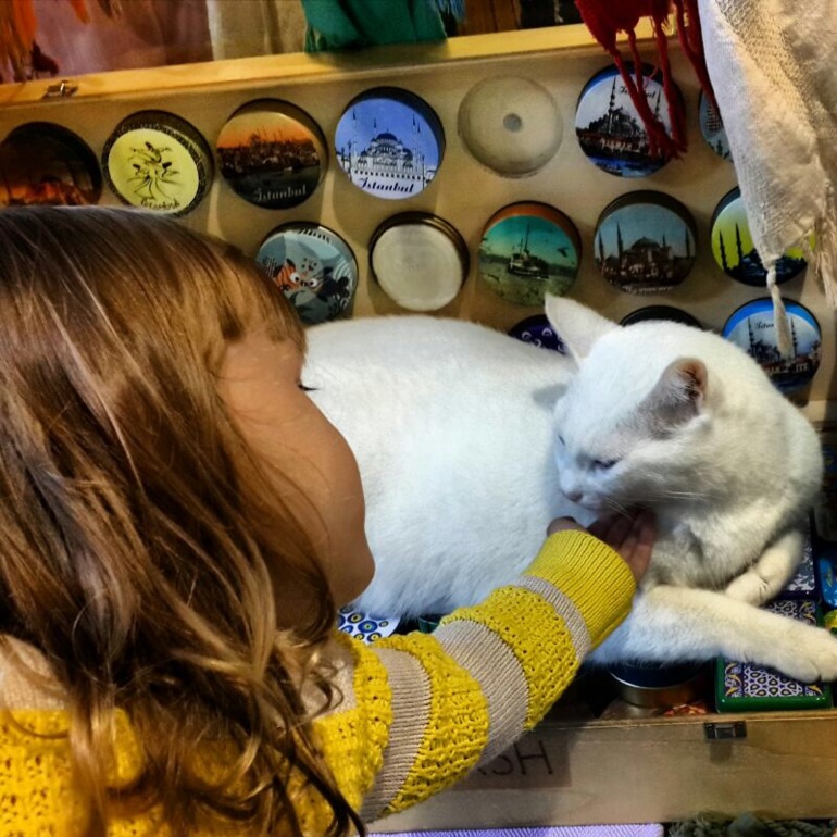 Insta-зарисовки...