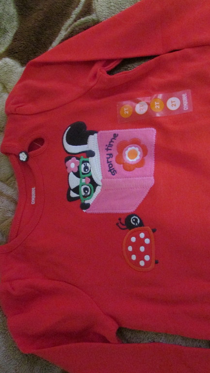 Новая одежда для девочки Gymboree,Crezy8 .Недорого.