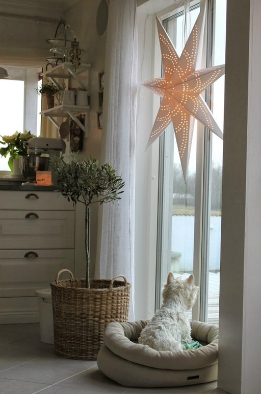 Звезда в интерьере