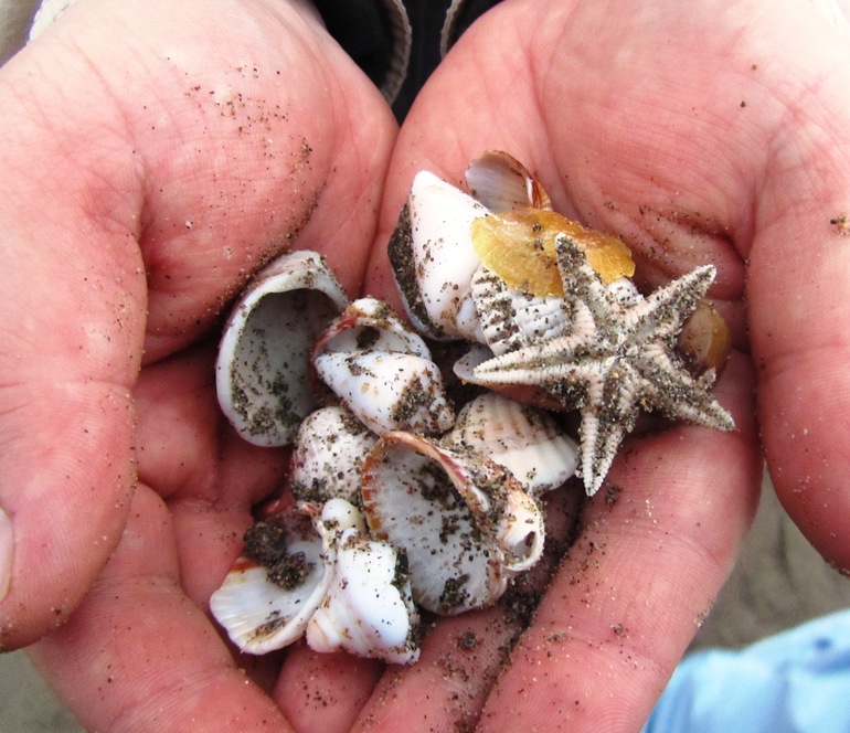 Нелюбимая Турция в несезон, оказывается здОрово!