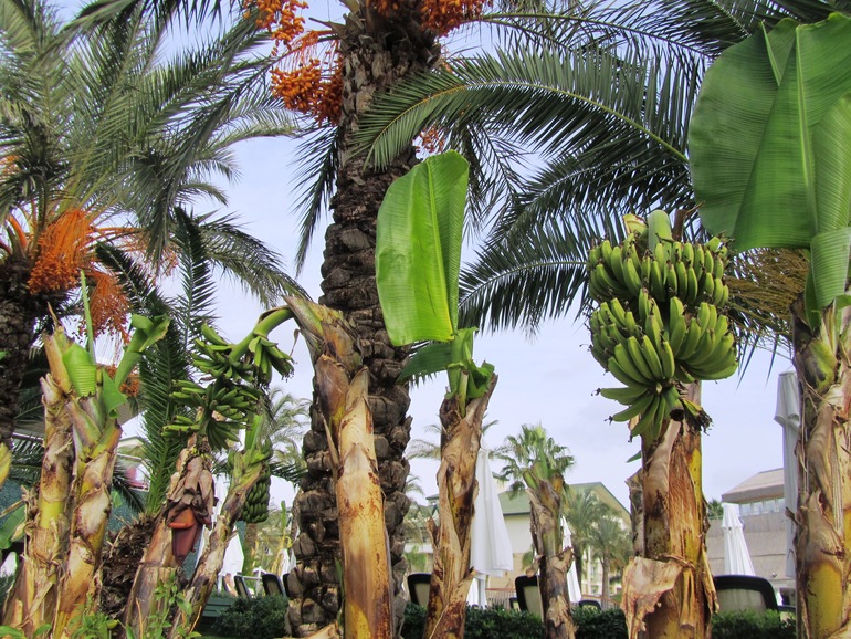 Нелюбимая Турция в несезон, оказывается здОрово!