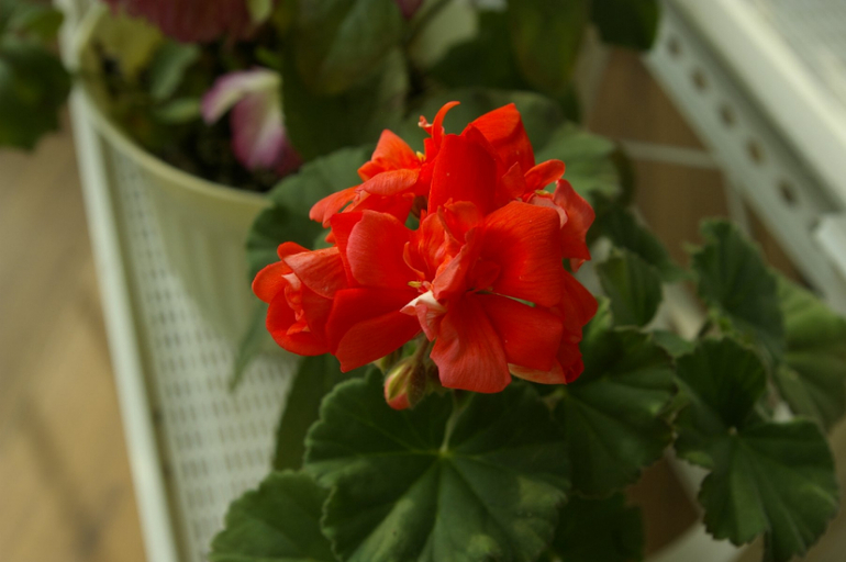 Весна. Начало)