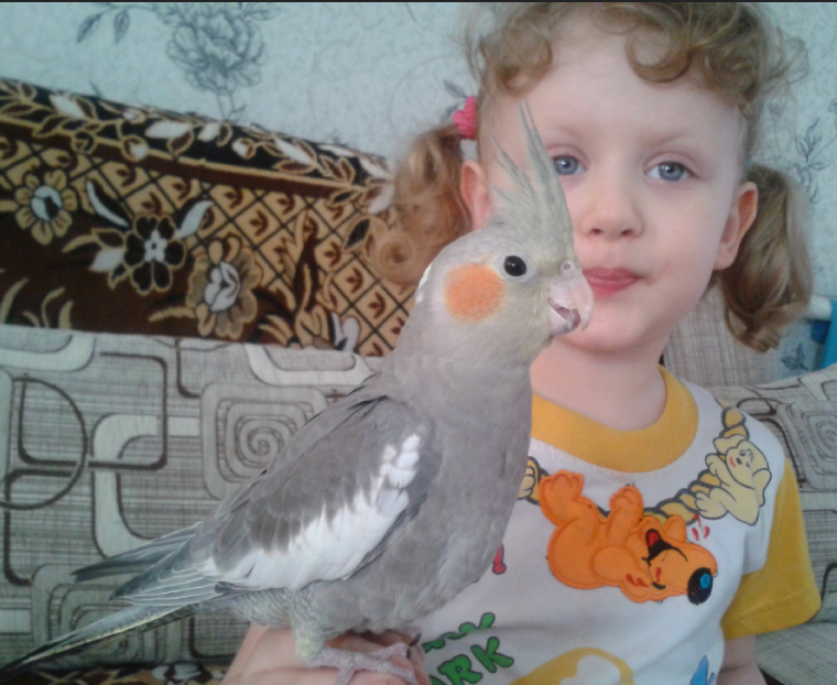 Наш Кирюшка...продолжение)))