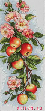 Мои хочушки