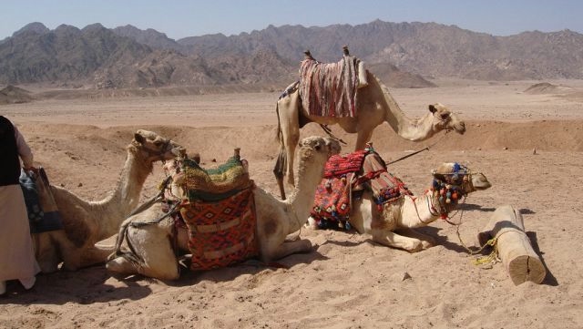 Laguna Vista Beach Resort 5* 16-28 февраля 2014