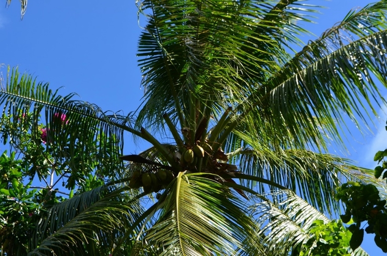 Хороший отель, очаровательное море и скучное питание!