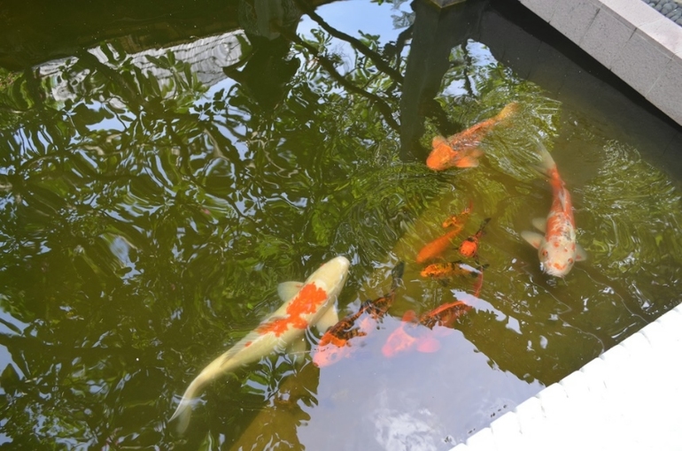 Хороший отель, очаровательное море и скучное питание!