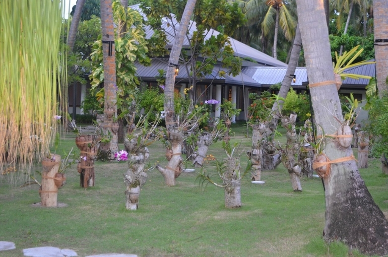 Хороший отель, очаровательное море и скучное питание!