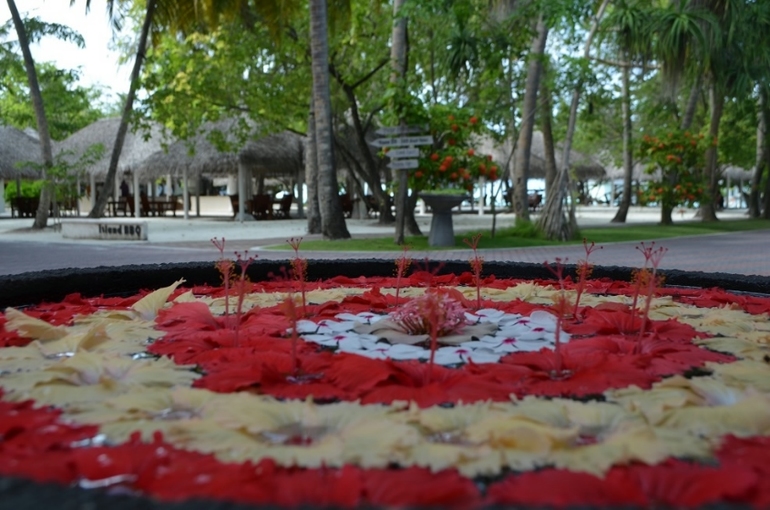 Хороший отель, очаровательное море и скучное питание!