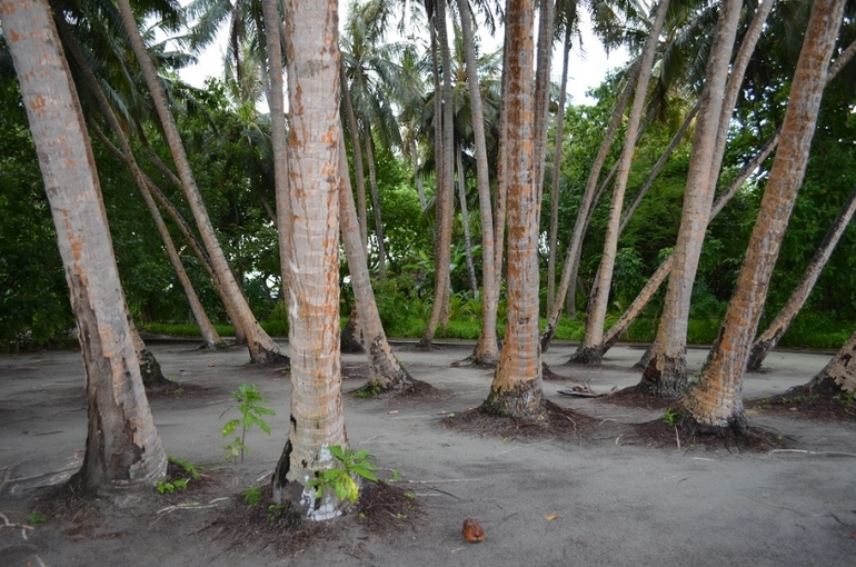 Хороший отель, очаровательное море и скучное питание!