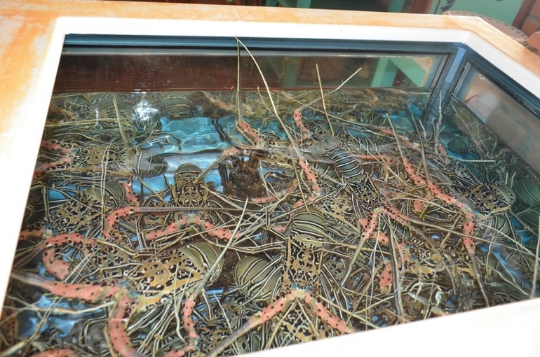 Хороший отель, очаровательное море и скучное питание!