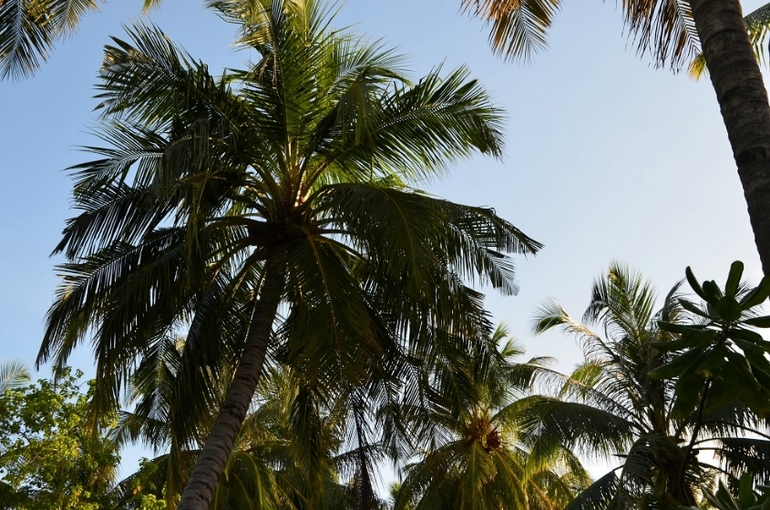 Хороший отель, очаровательное море и скучное питание!