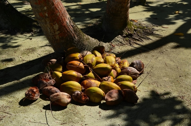 Хороший отель, очаровательное море и скучное питание!