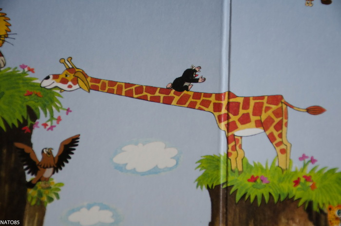 Новинки для рассматривания